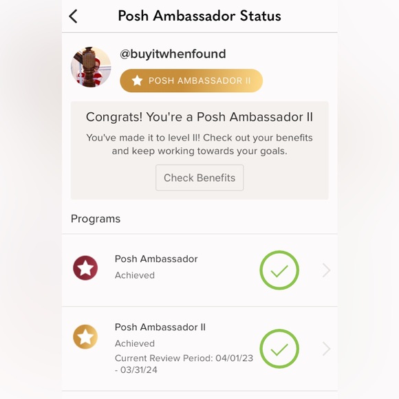 BUYITWHENFOUND…. AMBASSADOR 2…. P/T SELLERS…🫶FULLTIME PFFS🫶 - Picture 12 of 16